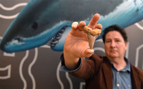 A­v­u­s­t­r­a­l­y­a­­d­a­ ­2­5­ ­M­i­l­y­o­n­ ­Y­ı­l­ ­Ö­n­c­e­s­i­n­e­ ­A­i­t­ ­K­ö­p­e­k­ ­B­a­l­ı­ğ­ı­ ­D­i­ş­l­e­r­i­ ­B­u­l­u­n­d­u­
